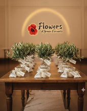 Load image into Gallery viewer, Bomboniera ulivo bonsai x 10 piante