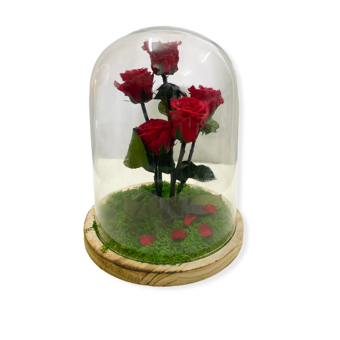 Teca Rose stabilizzate rosse - Only you - Flowers Palermo