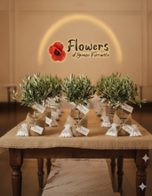 Load image into Gallery viewer, Bomboniera ulivo bonsai x 10 piante
