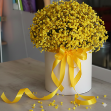 Carica l'immagine nel visualizzatore di Gallery, Scatola Luxury di Gipsofila Colorata – "Nuvola di Emozioni"
