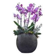 Lade das Bild in den Galerie-Viewer, Cachepot ceramica con 4 orchidee
