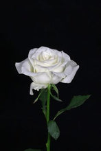 Cargar imagen en el visor de la galería, Mazzo di rose bianche Colombiane
