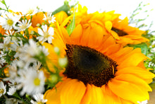 Cargar imagen en el visor de la galería, Bouquet di Girasoli - Sunny Day - Flowers Palermo
