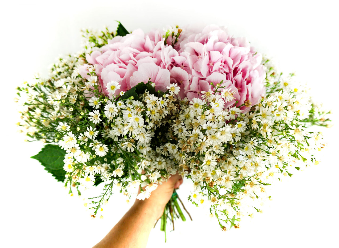 Bouquet di Ortensie - Charlotte - Flowers Palermo
