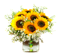 Load image into Gallery viewer, Bouquet di Girasoli - Sunny Day
